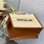 Christian Dior Small Dior Book Tote Apricot